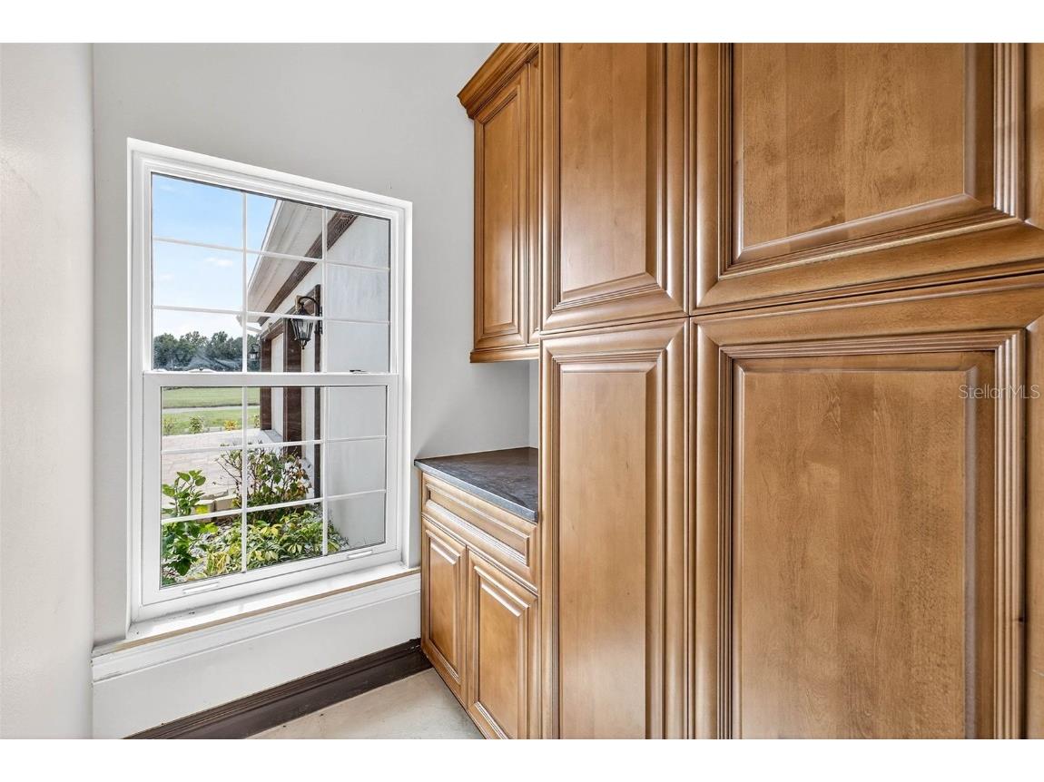 10908 Flint Estates Drive Thonotosassa FL 33592 - LAKE THONOTOSASSA TB8438650 image92