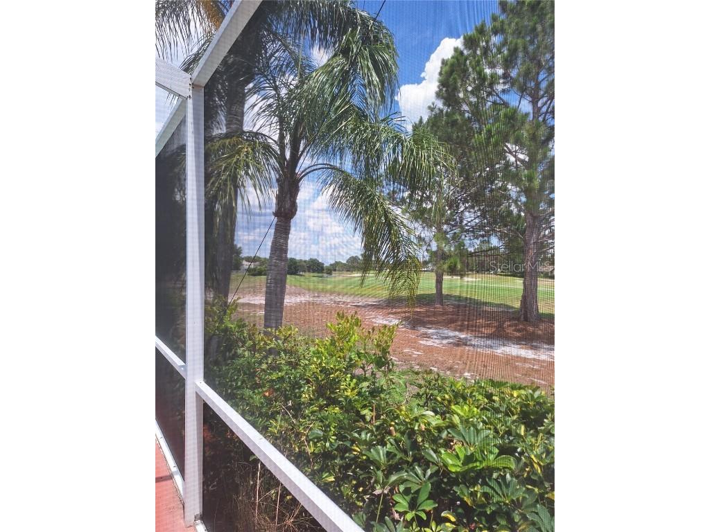 10908 Sailbrooke Drive Riverview FL 33579 TB8389516 image17