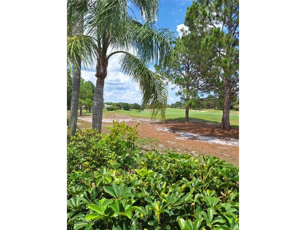 10908 Sailbrooke Drive Riverview FL 33579 TB8389516 image18