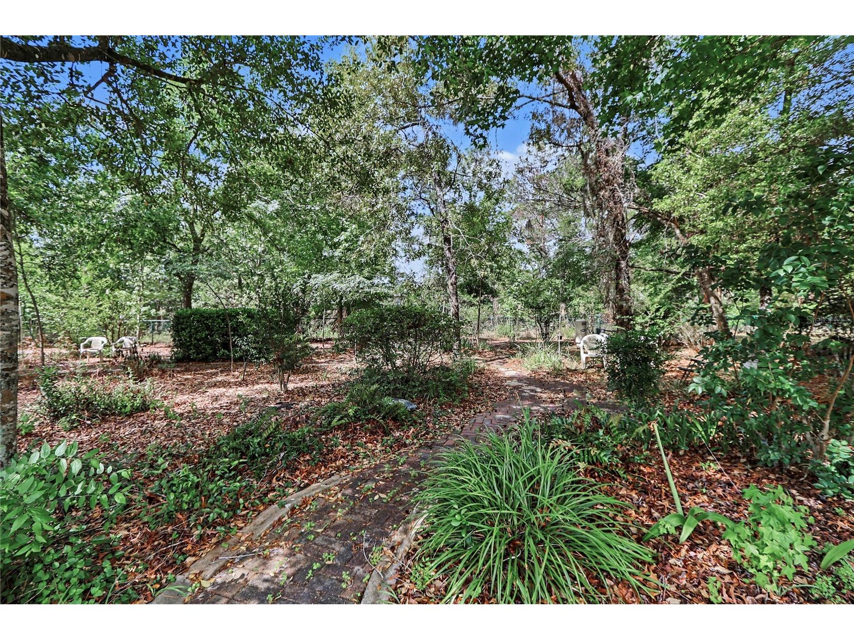 10908 SW 53rd Circle Ocala FL 34476 OM724048 image30