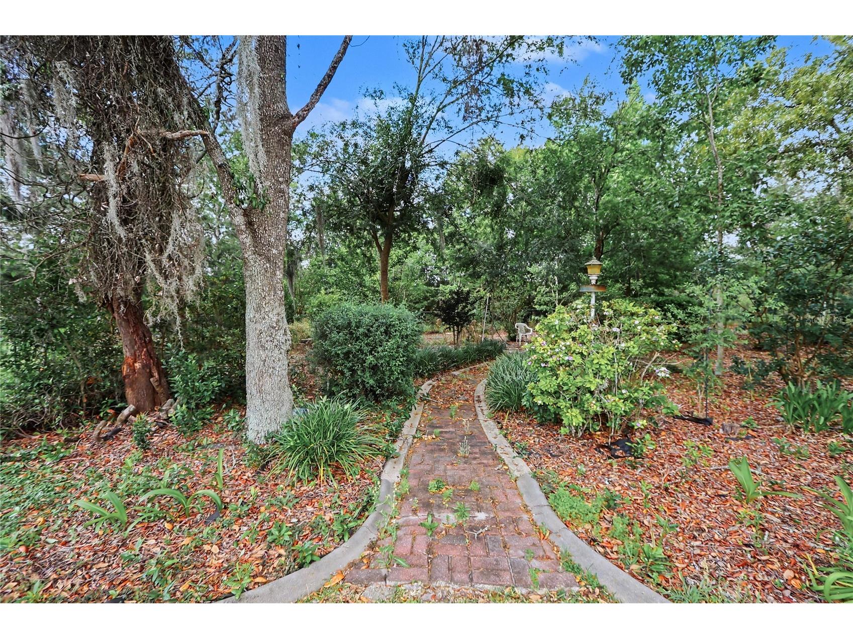 10908 SW 53rd Circle Ocala FL 34476 OM724048 image45
