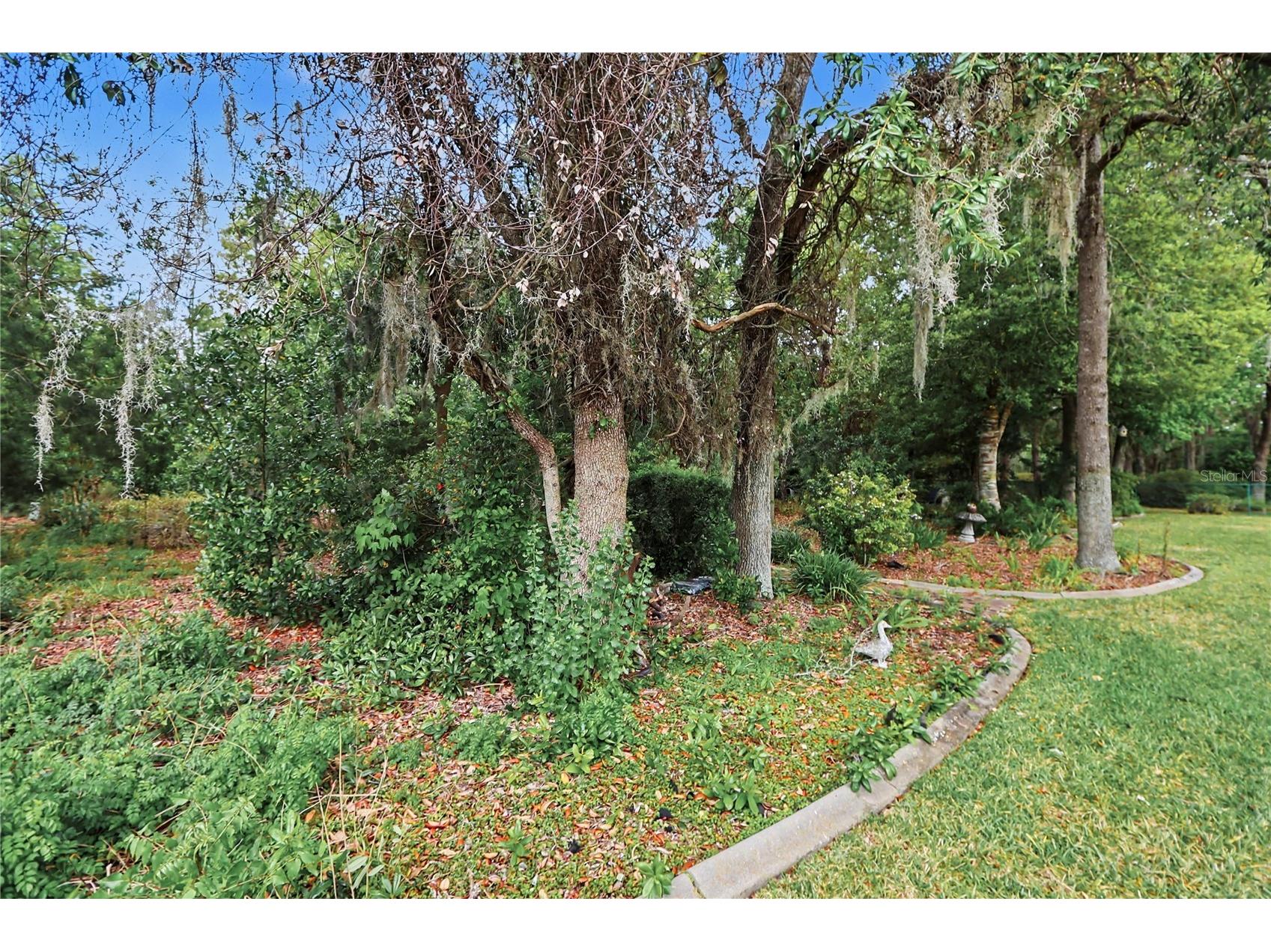 10908 SW 53rd Circle Ocala FL 34476 OM724048 image50