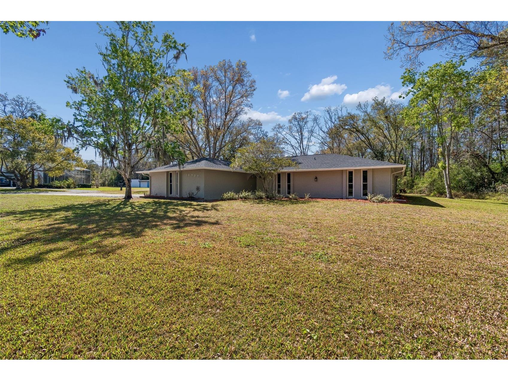 10909 Candy Lane New Port Richey FL 34654 W7882726 image3