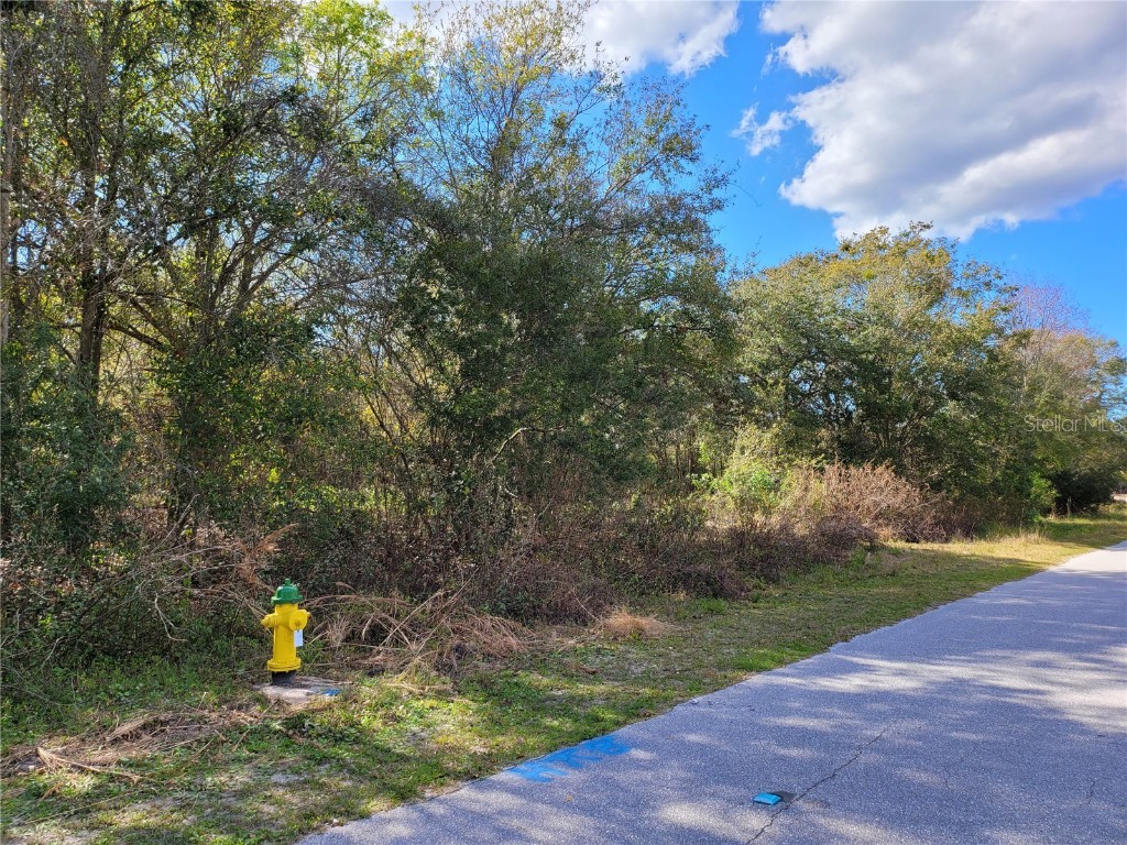 10909 Estates Del Sol Drive Riverview FL 33579 T3355635 image1