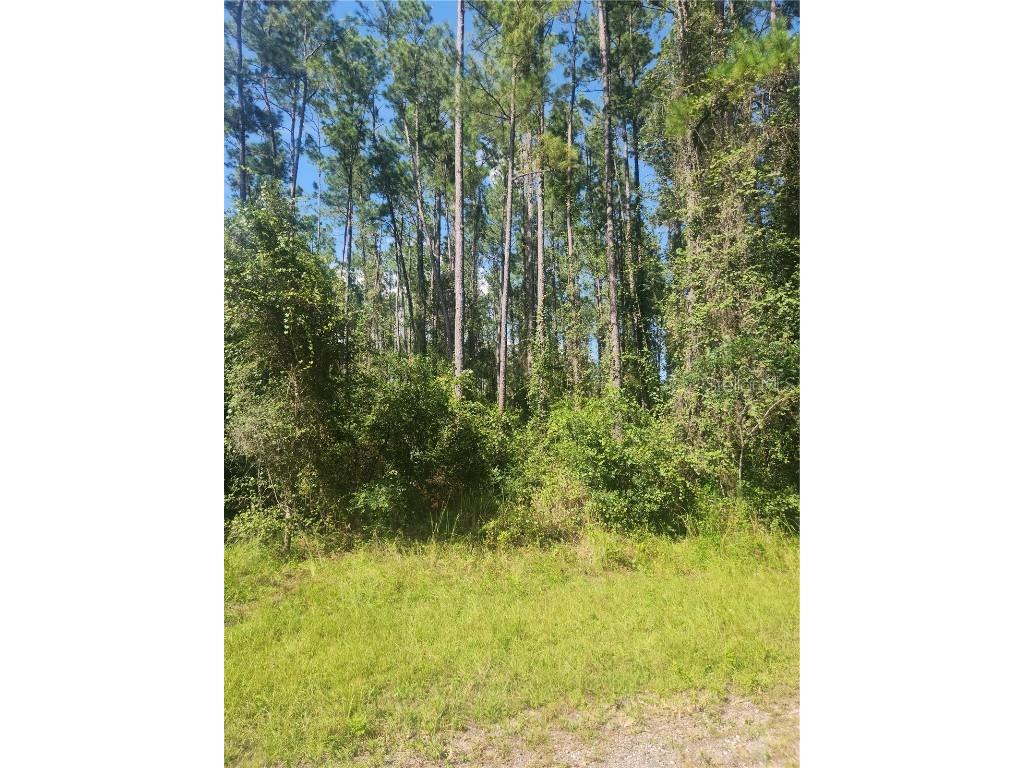 1091 E Toledo Drive Citrus Springs FL 34434 OM664888 image1