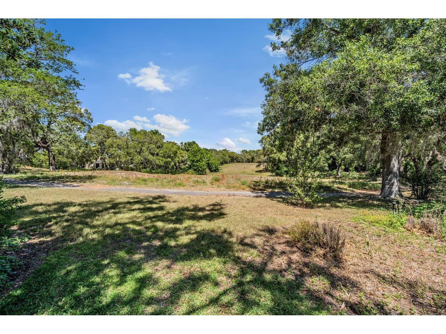 1091 Tournament Drive Spring Hill FL 34608 TB8503123 image21