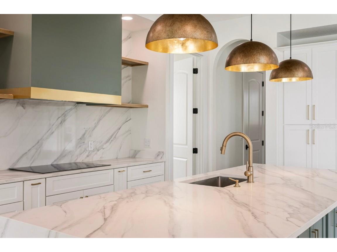 10910 Brooksnest Court Lithia FL 33547 TB8437629 image12