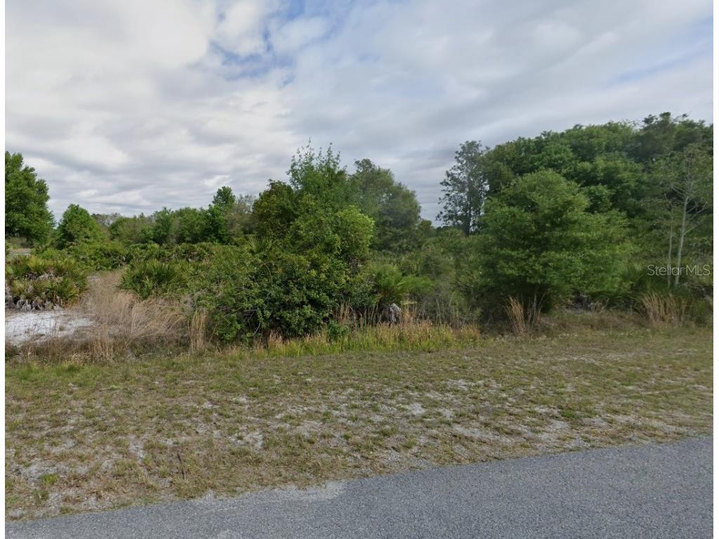 10910 Dixon Riverview FL 33579 O6210754 image1