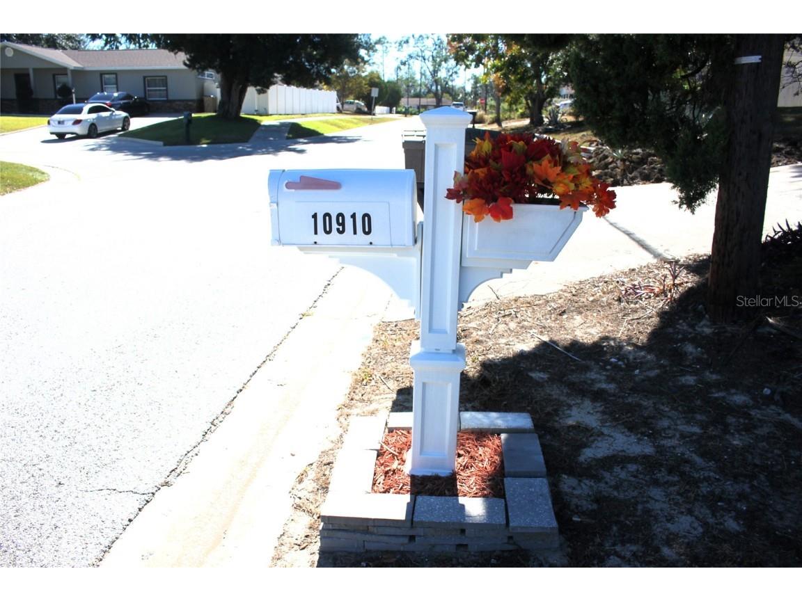 10910 N 61st Street Temple Terrace FL 33617 TB8444405 image4