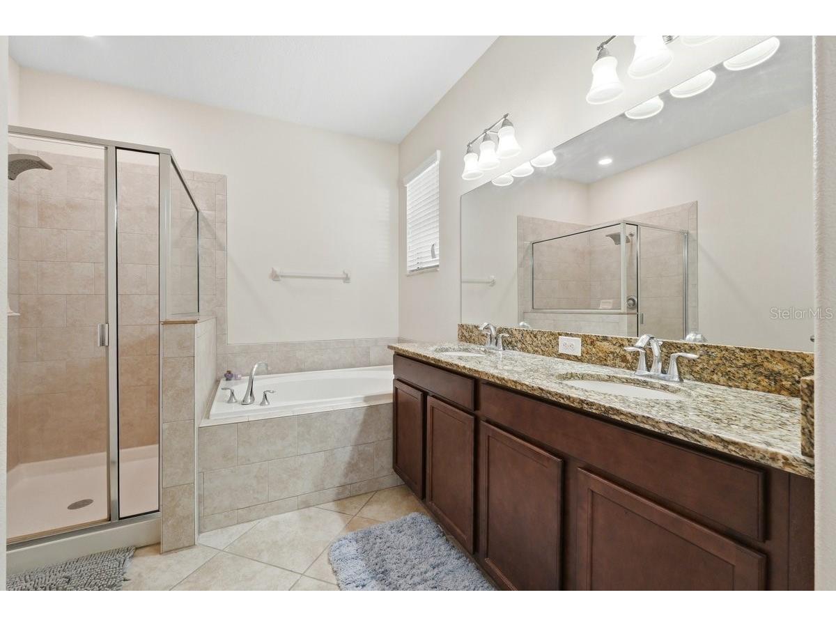 10910 Whittney Chase Drive Riverview FL 33579 L4960720 image19