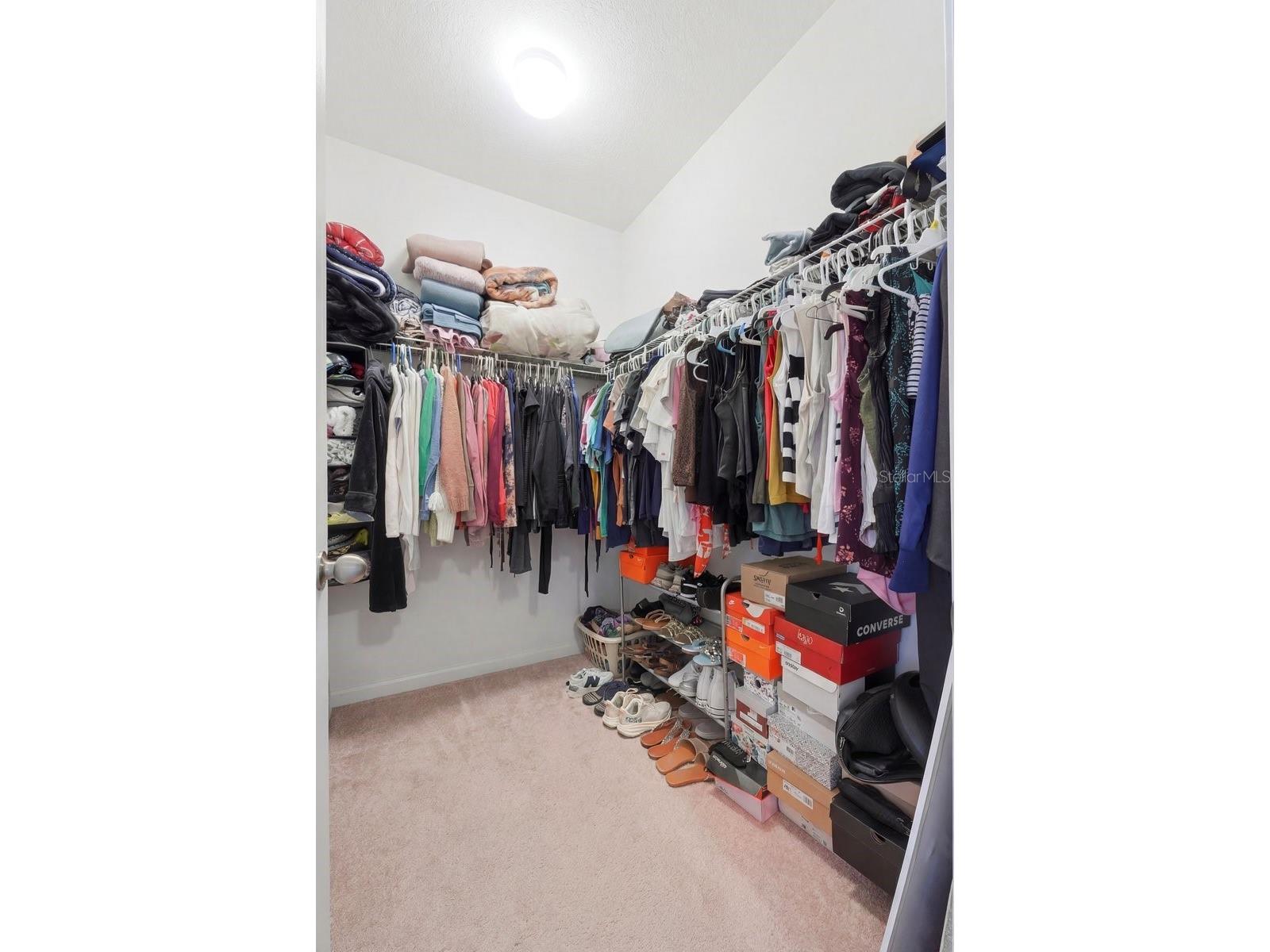 10910 Whittney Chase Drive Riverview FL 33579 L4960720 image20