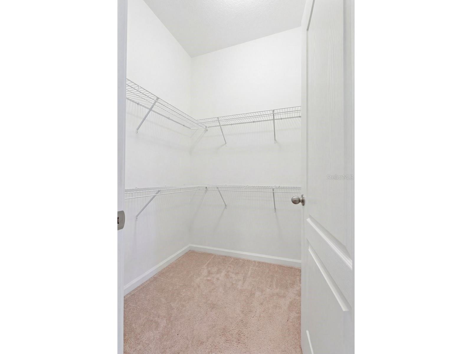 10910 Whittney Chase Drive Riverview FL 33579 L4960720 image24