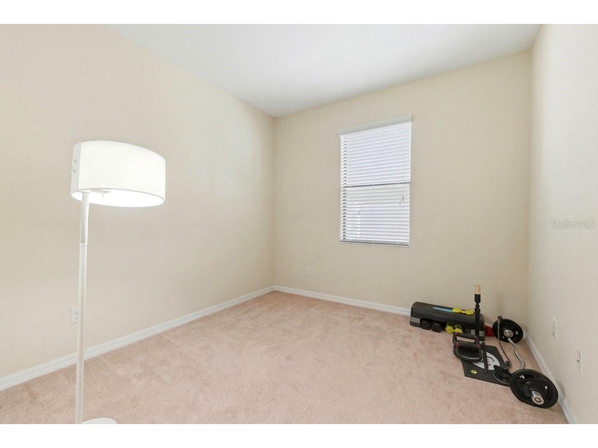 10910 Whittney Chase Drive Riverview FL 33579 L4960720 image30