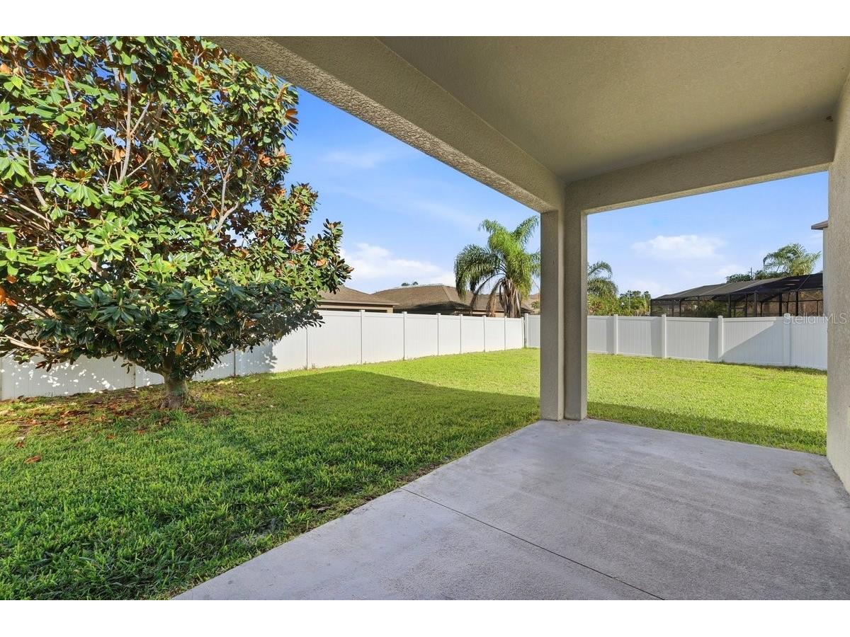 10910 Whittney Chase Drive Riverview FL 33579 L4960720 image34