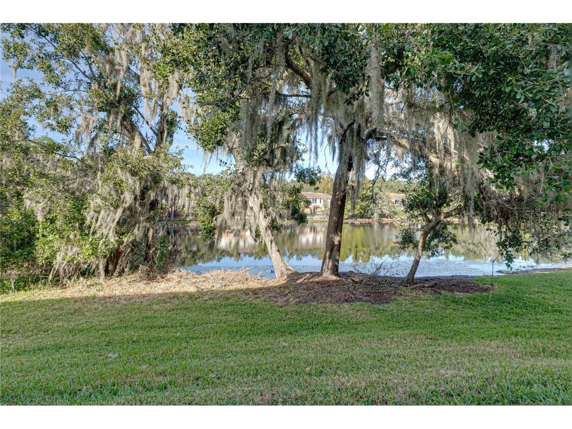 10912 Johanna Avenue Riverview FL 33578 TB8448723 image38