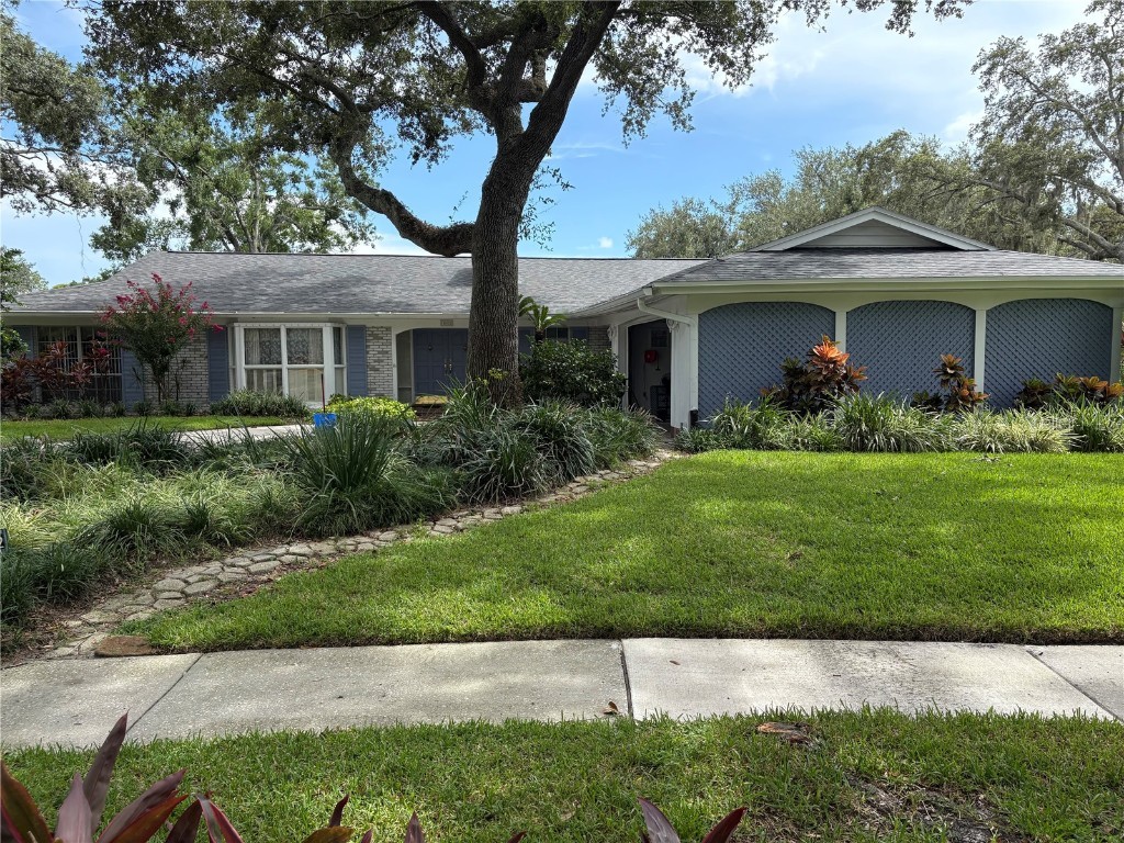 10912 Juniperus Place Tampa FL 33618 J991769 image1