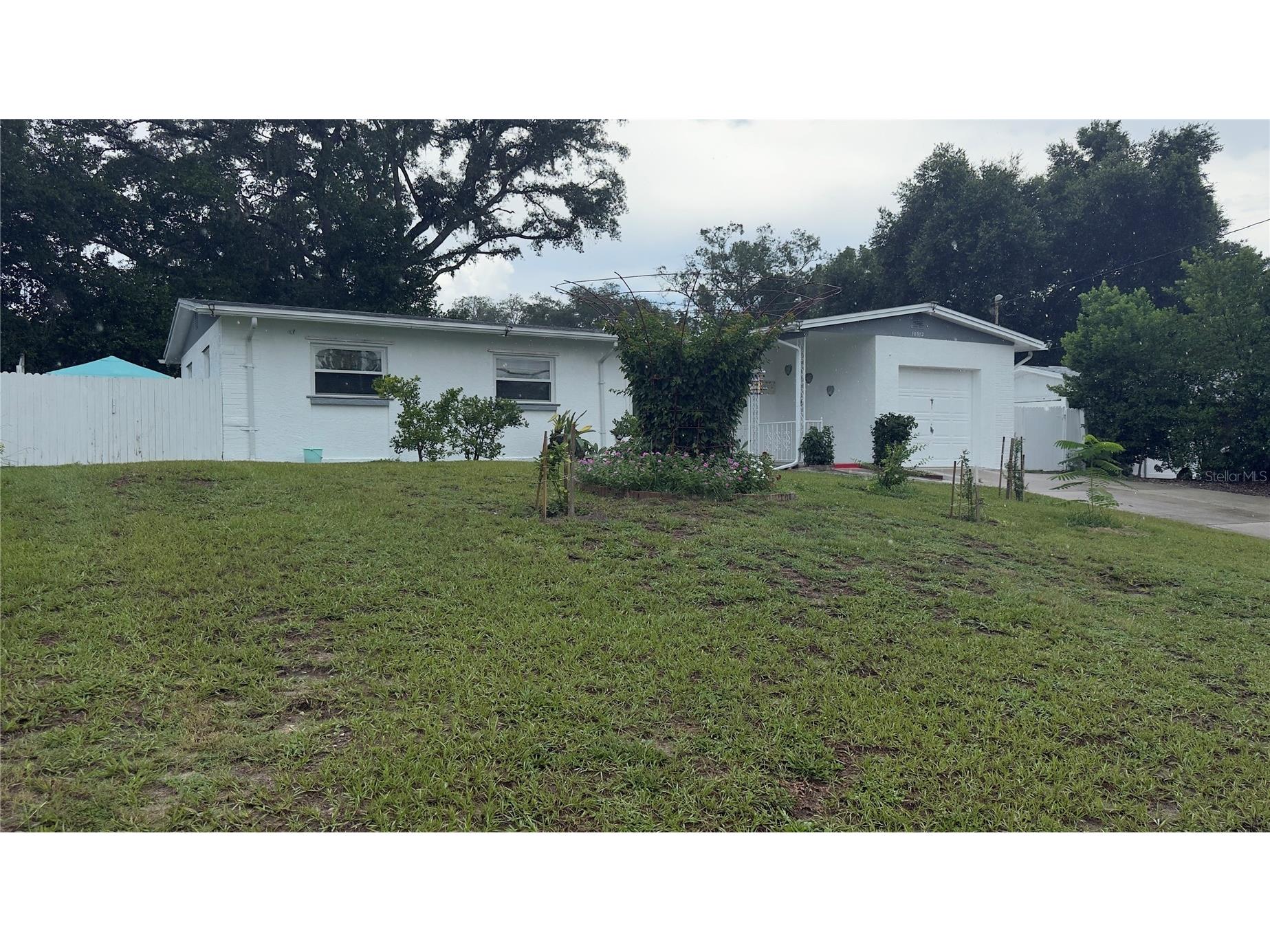 10912 N 61st Street Tampa FL 33617 TB8526881 image2