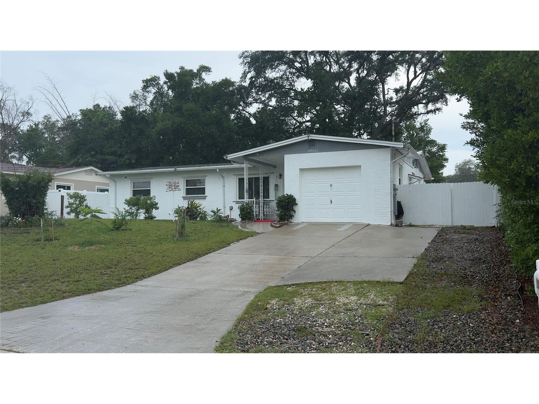 10912 N 61st Street Tampa FL 33617 TB8526881 image3