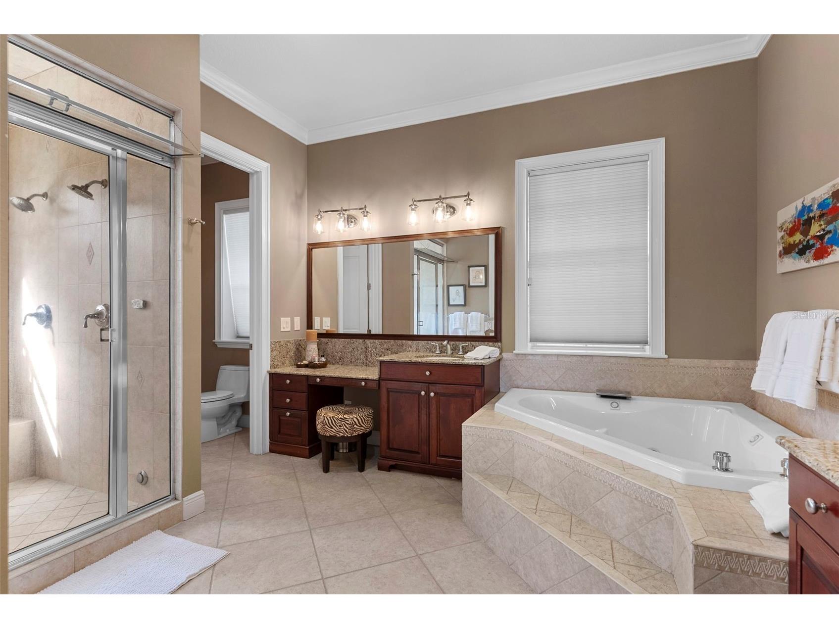 10913 Brigann Yard Way Thonotosassa FL 33592 - LAKE THONOTOSASSA TB8479239 image35