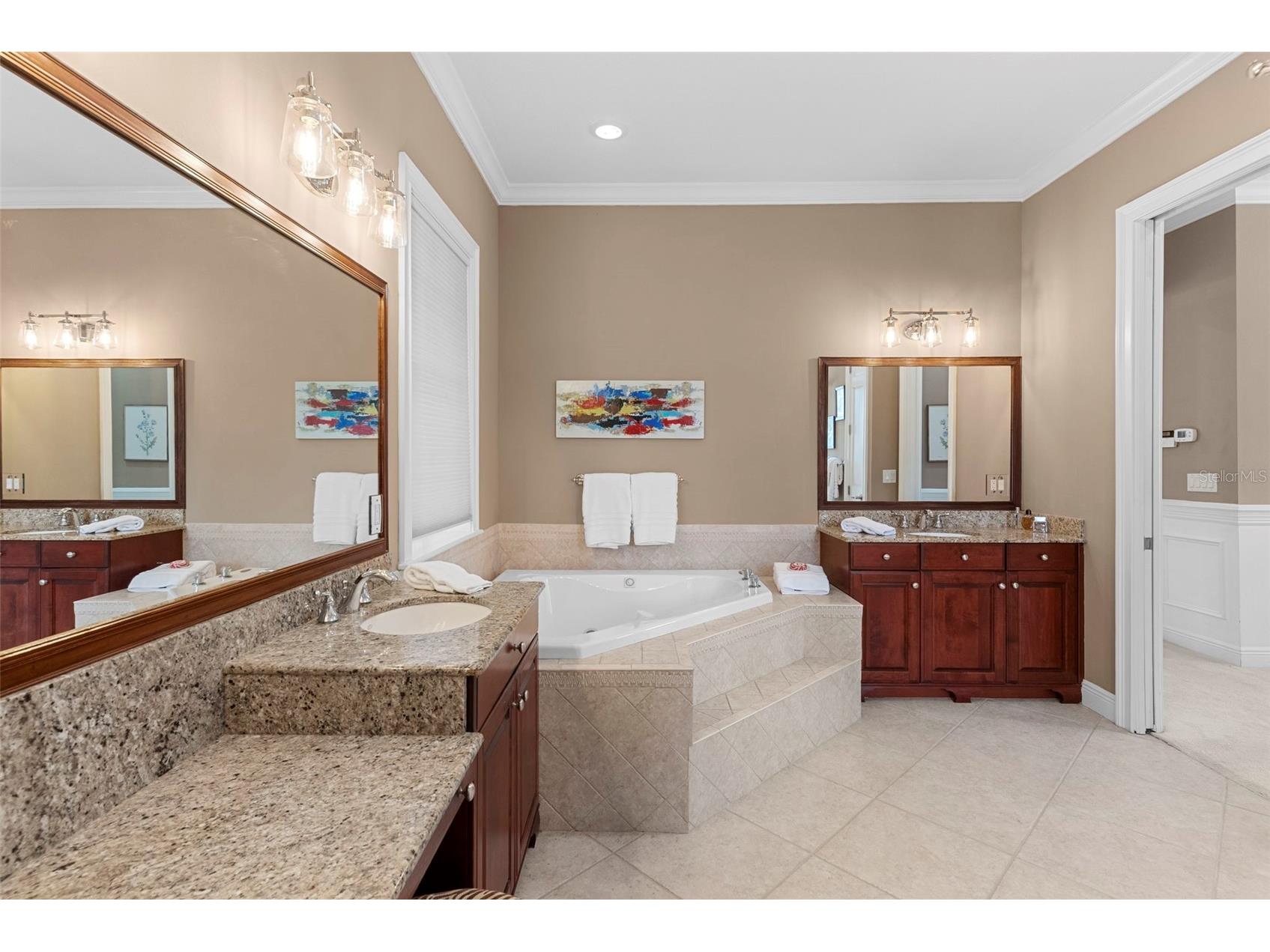 10913 Brigann Yard Way Thonotosassa FL 33592 - LAKE THONOTOSASSA TB8479239 image36