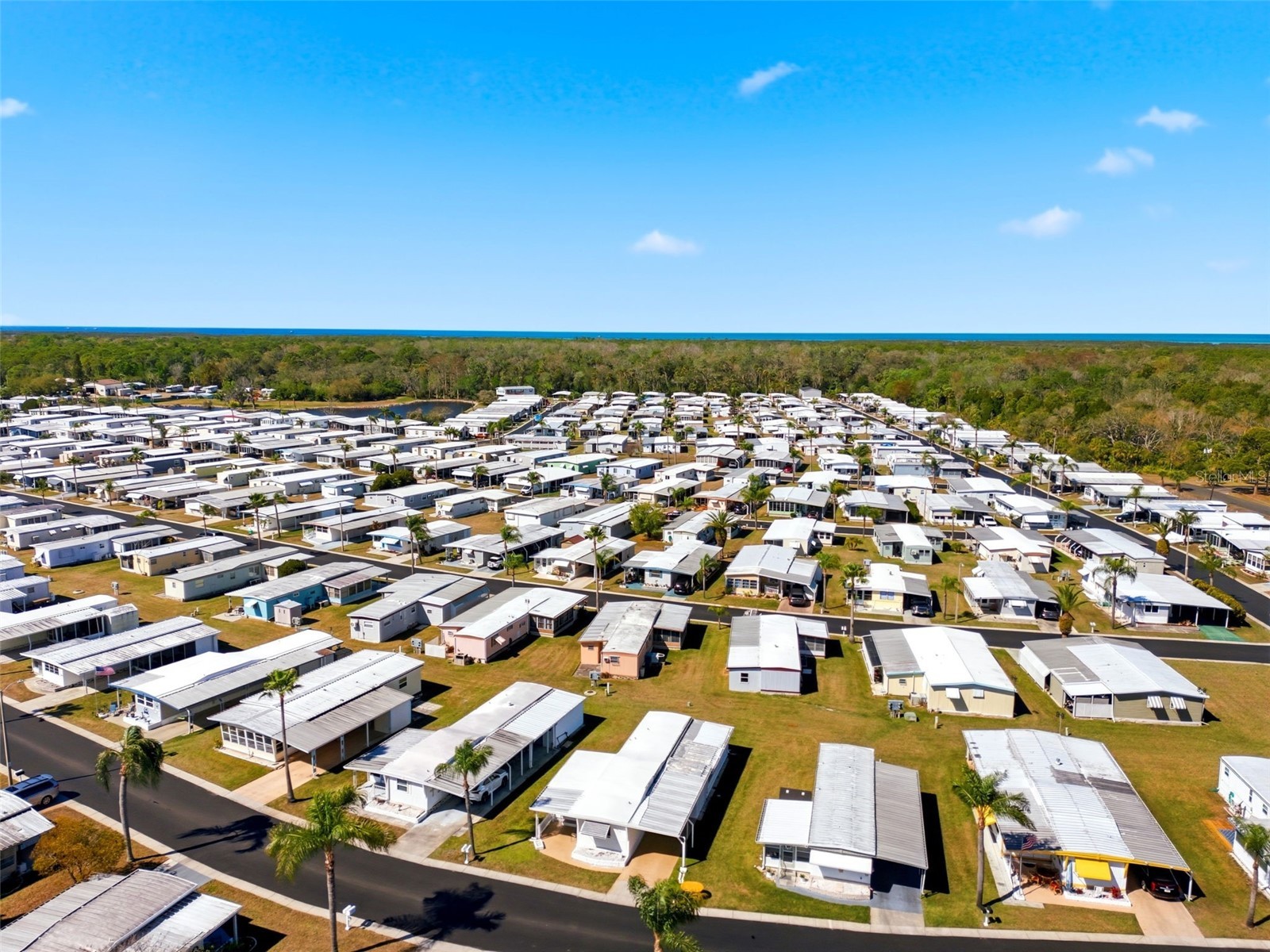 10913 Liberty Drive Port Richey FL 34668 TB8478976 image31