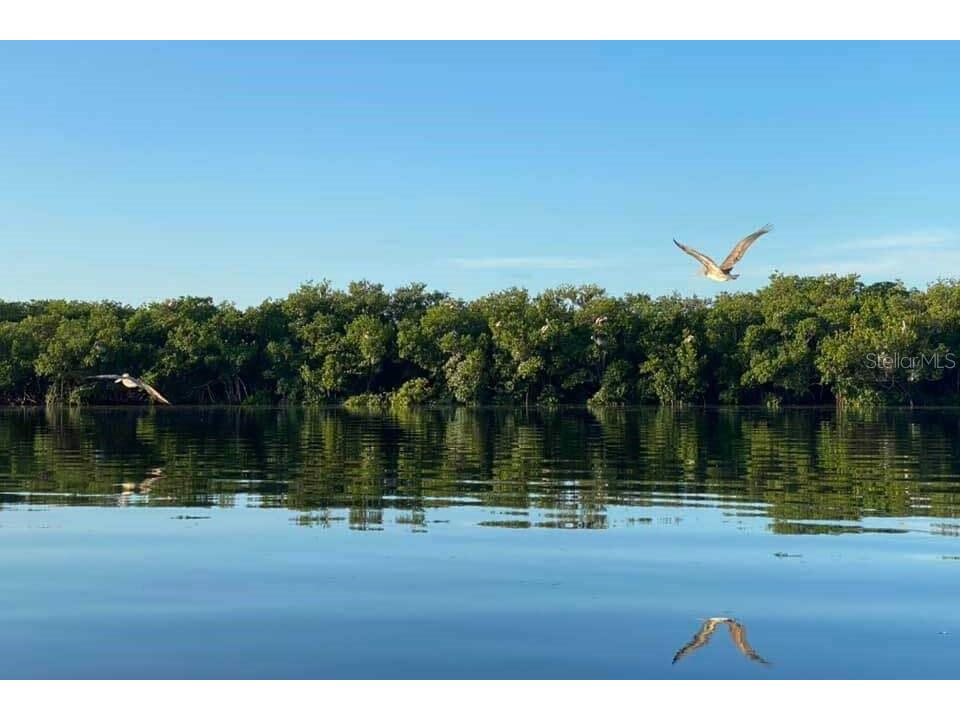 10913 Liberty Drive Port Richey FL 34668 TB8478976 image38