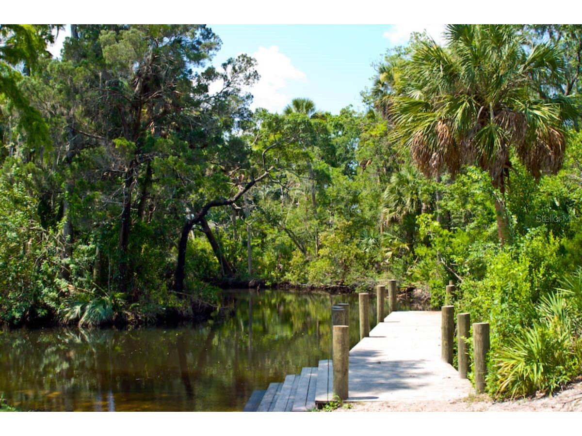 10913 Liberty Drive Port Richey FL 34668 TB8478976 image39
