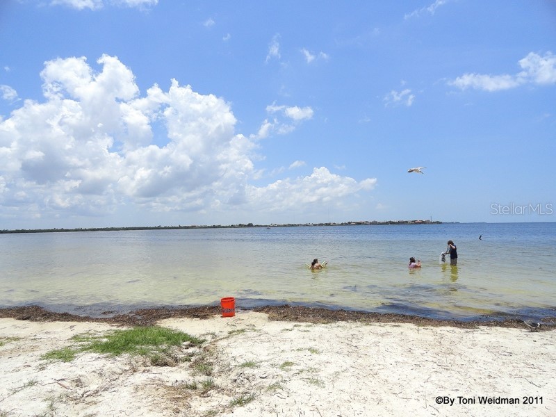 10913 Liberty Drive Port Richey FL 34668 TB8478976 image45