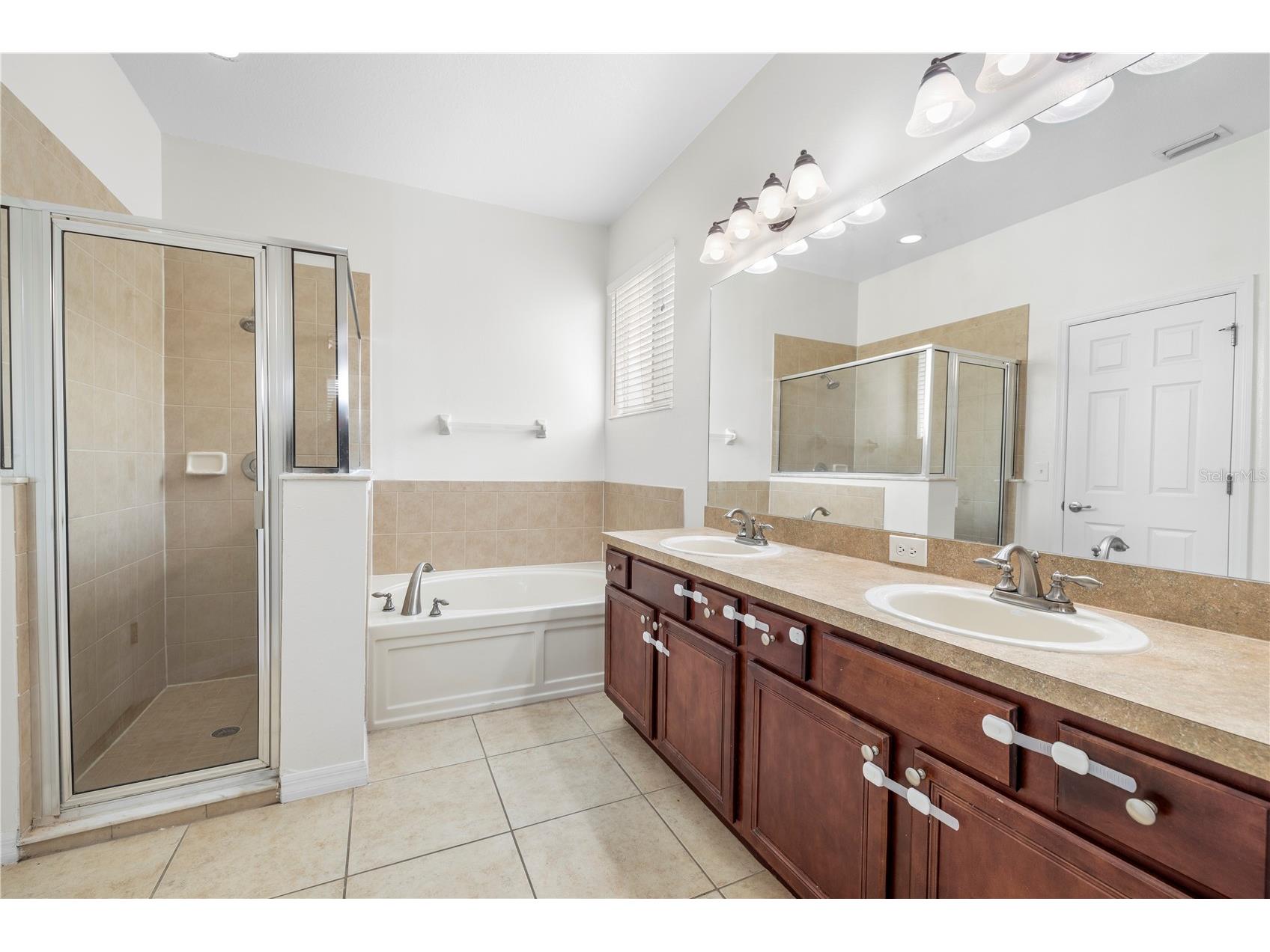 10913 Observatory Way Tampa FL 33647 TB8495431 image26