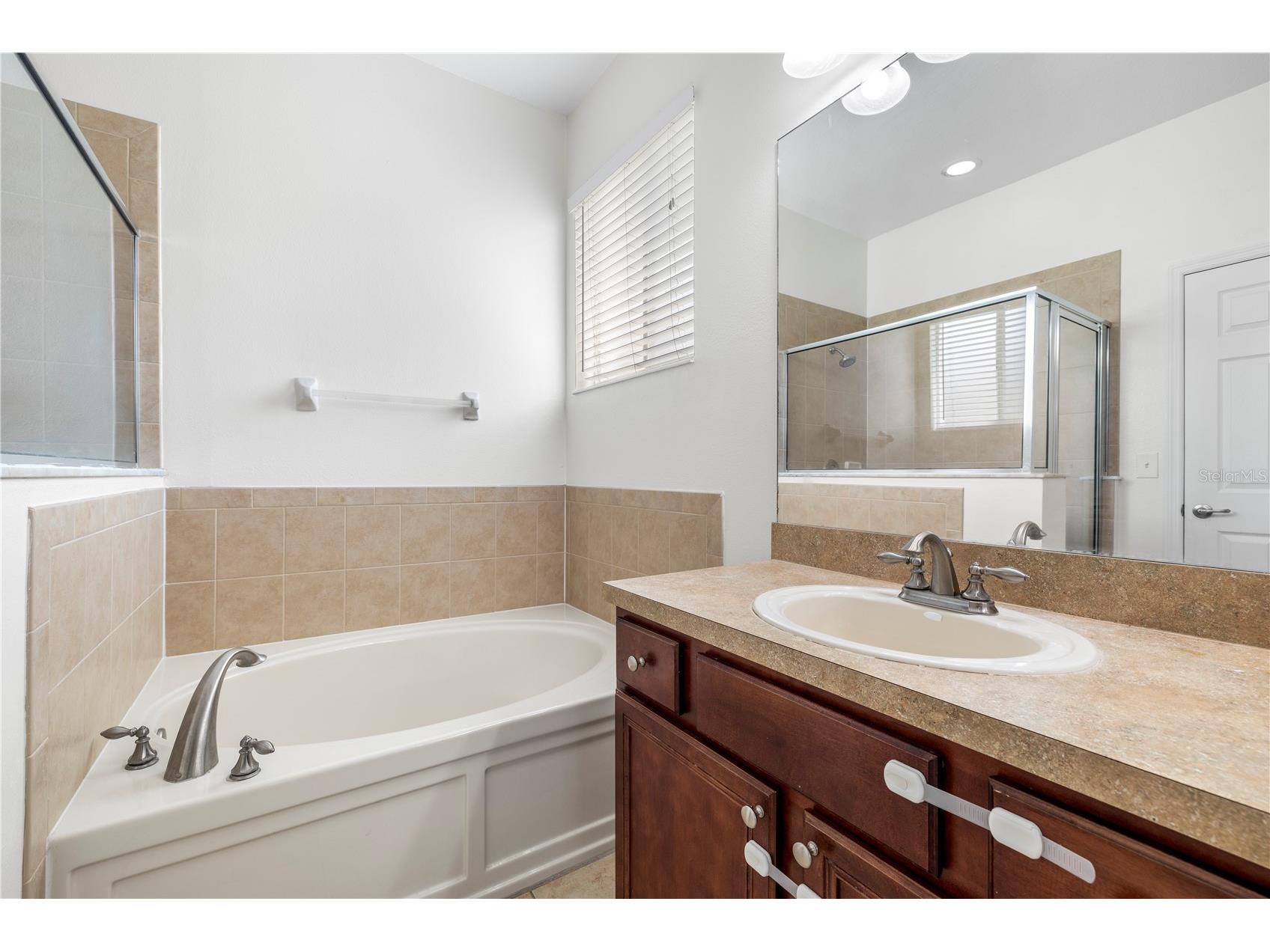 10913 Observatory Way Tampa FL 33647 TB8495431 image27
