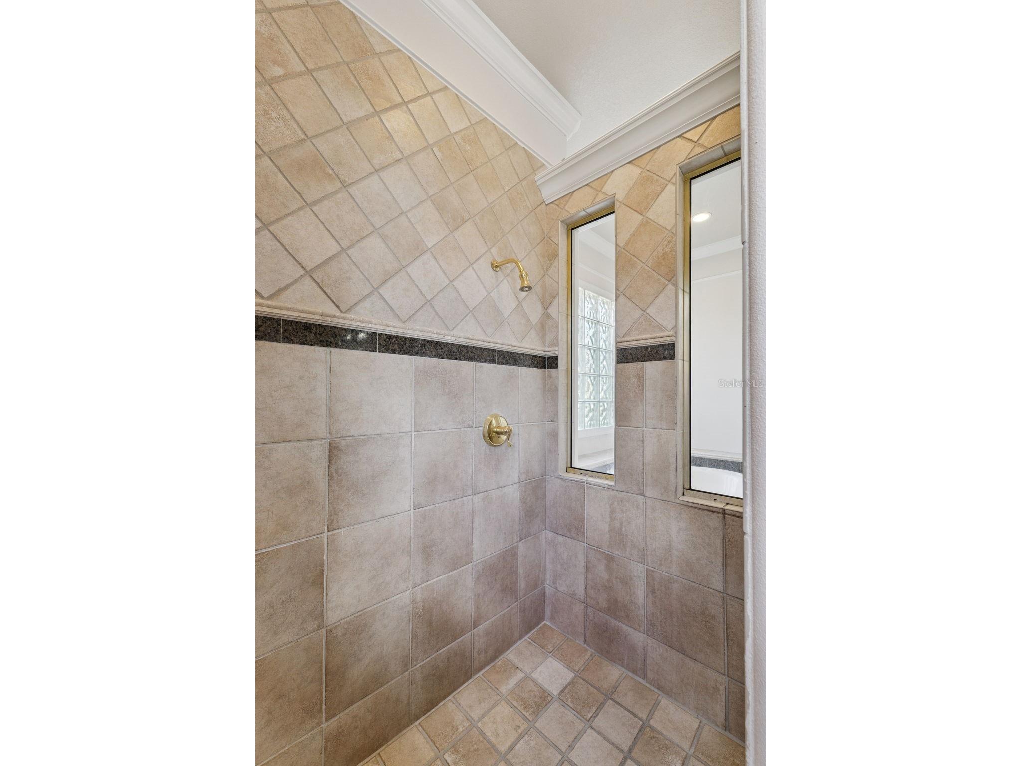 10914 Emerald Chase Drive Orlando FL 32836 O6386735 image30