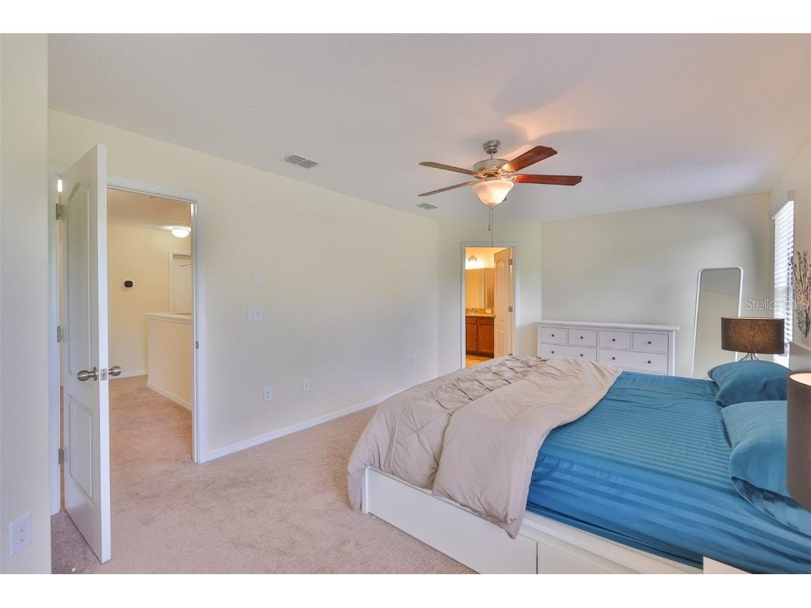 10914 Whitecap Drive Riverview FL 33579 TB8420229 image29