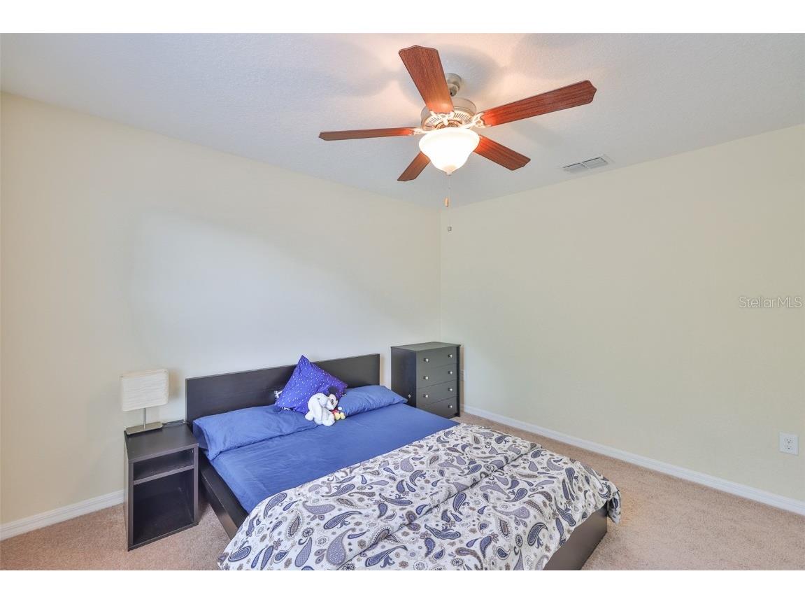 10914 Whitecap Drive Riverview FL 33579 TB8420229 image41