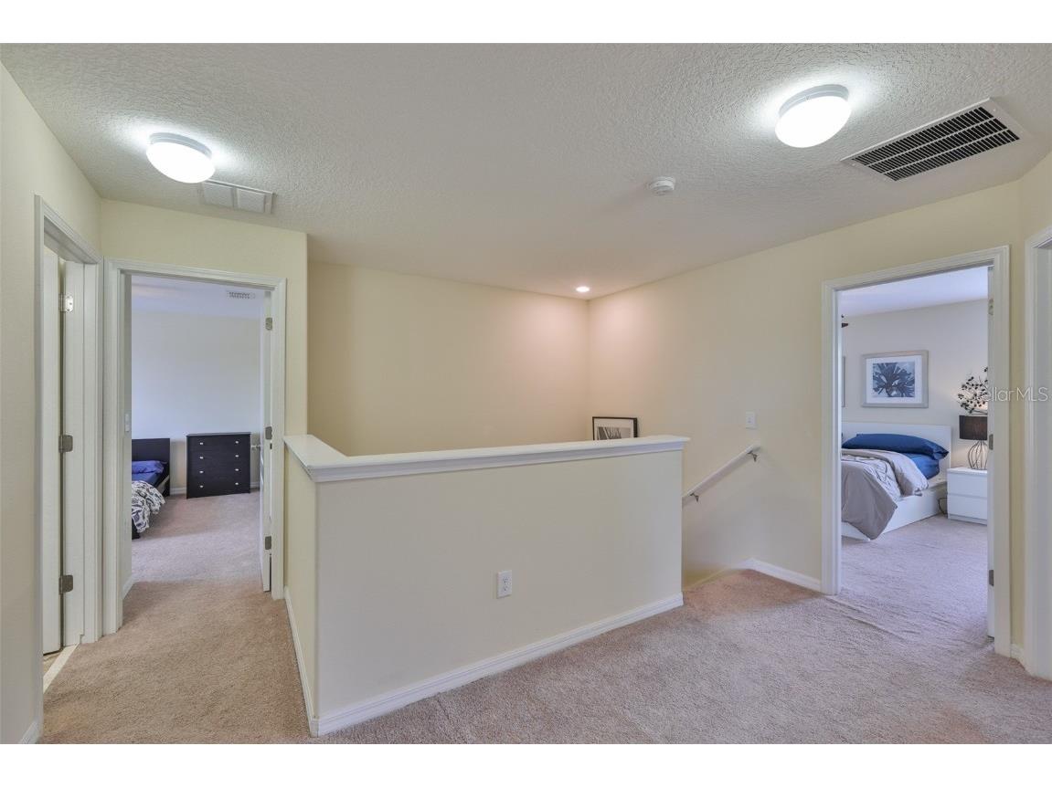 10914 Whitecap Drive Riverview FL 33579 TB8420229 image43