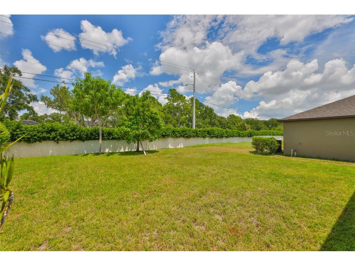 10914 Whitecap Drive Riverview FL 33579 TB8420229 image48