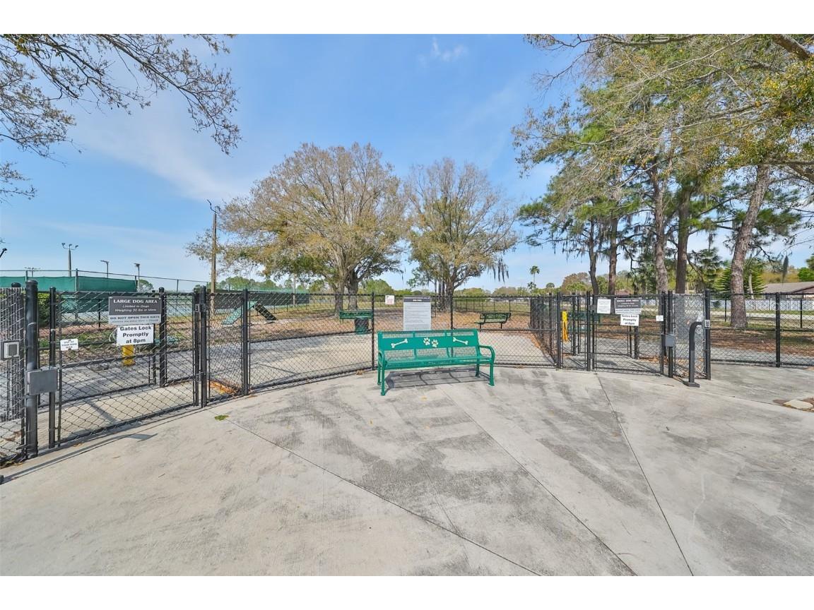 10914 Whitecap Drive Riverview FL 33579 TB8420229 image54