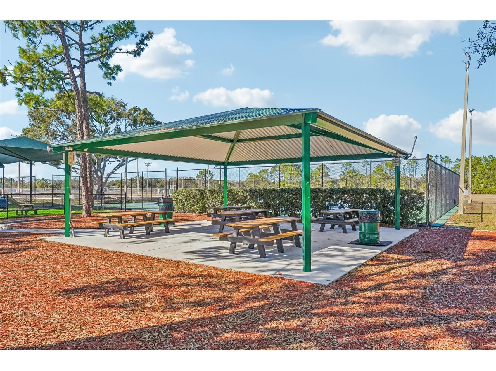 10914 Whitecap Drive Riverview FL 33579 TB8485110 image37
