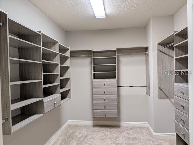 10915 Charmwood Drive Riverview FL 33569 TB8490730 image12