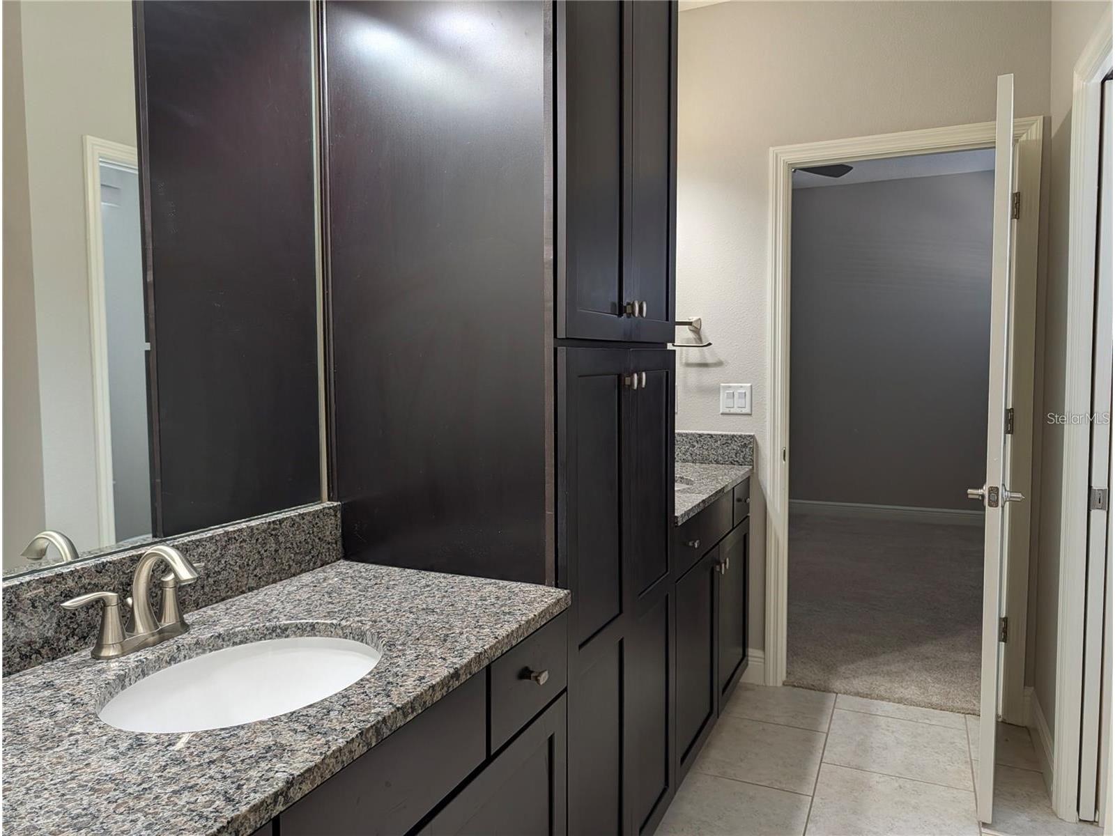 10915 Charmwood Drive Riverview FL 33569 TB8490730 image14