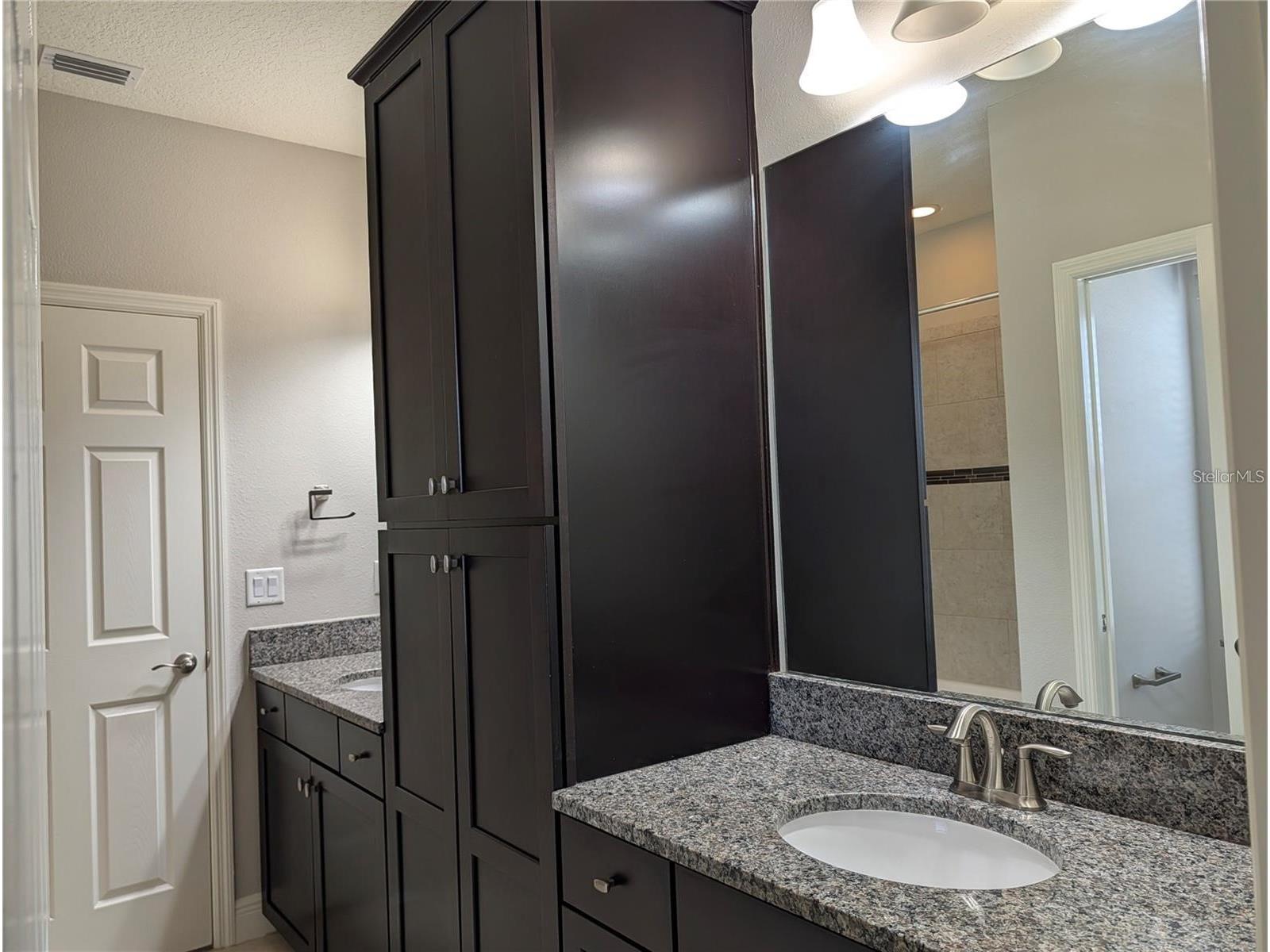 10915 Charmwood Drive Riverview FL 33569 TB8490730 image15