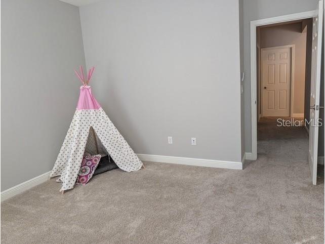 10915 Charmwood Drive Riverview FL 33569 TB8490730 image16