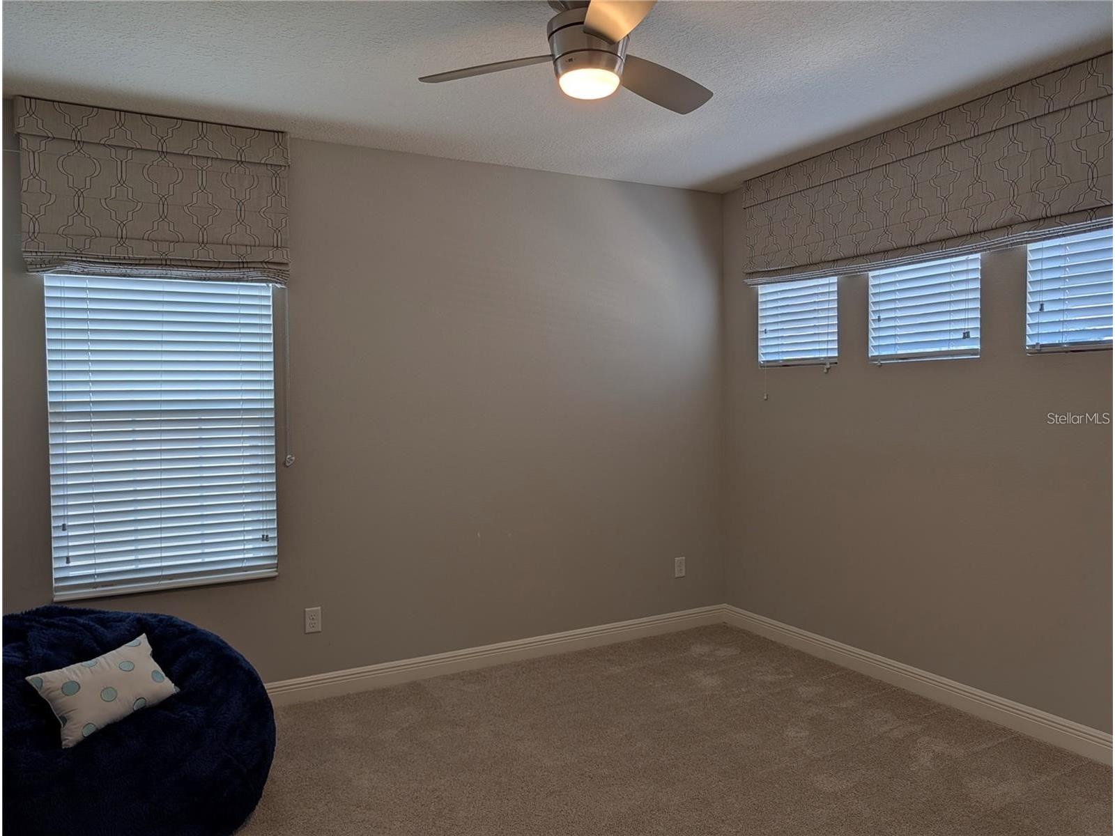 10915 Charmwood Drive Riverview FL 33569 TB8490730 image27