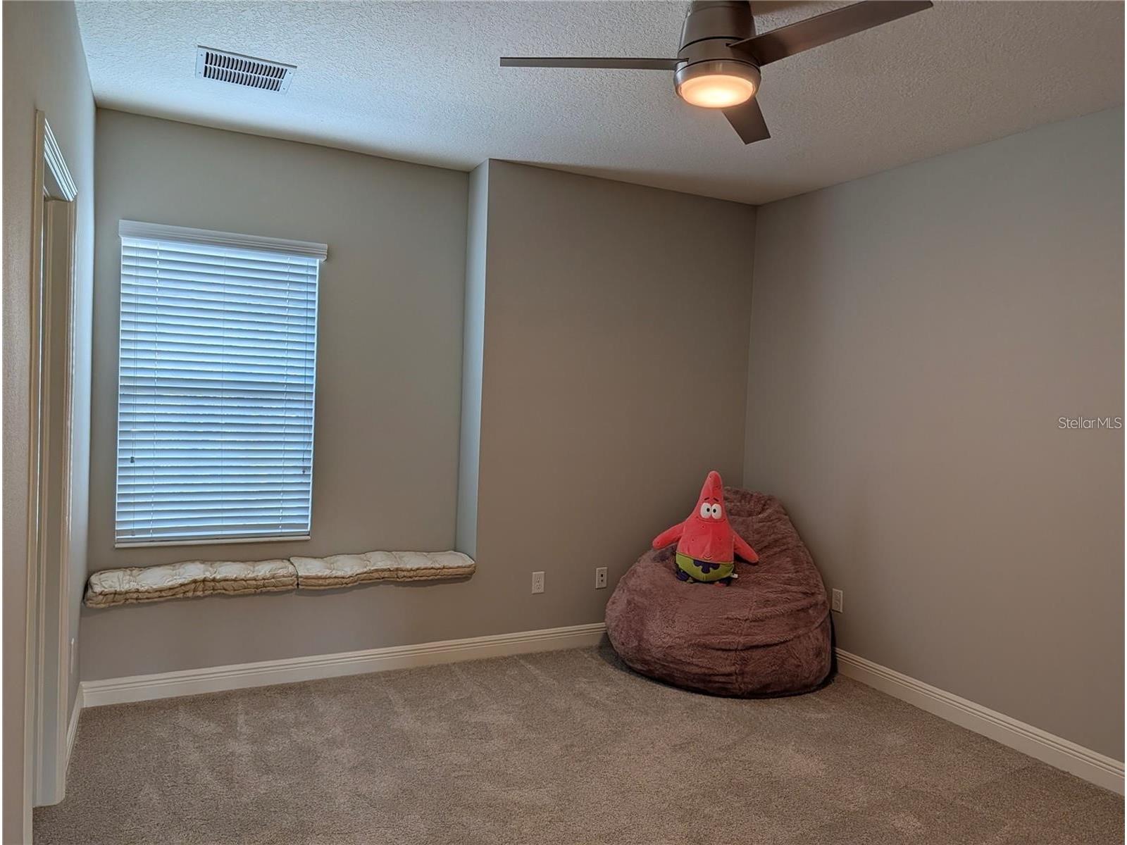 10915 Charmwood Drive Riverview FL 33569 TB8490730 image28