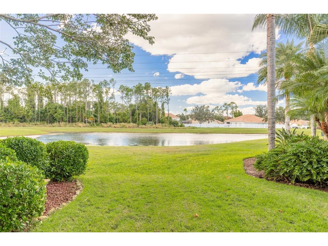 10915 Ledgement Lane Windermere FL 34786 V4946025 image56