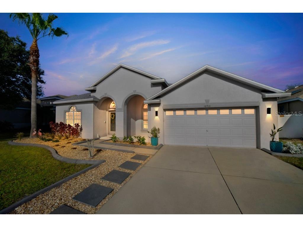 10916 Australian Pine Drive Riverview FL 33579 T3494653 image1