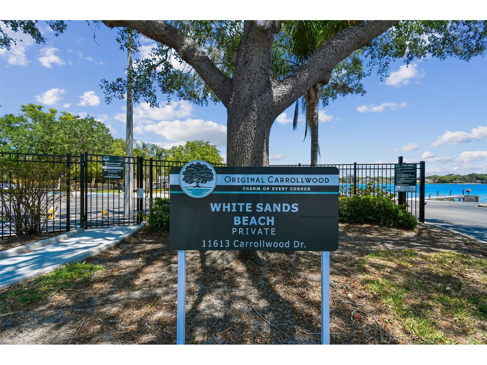 10916 Carrollwood Drive Tampa FL 33618 TB8506194 image31
