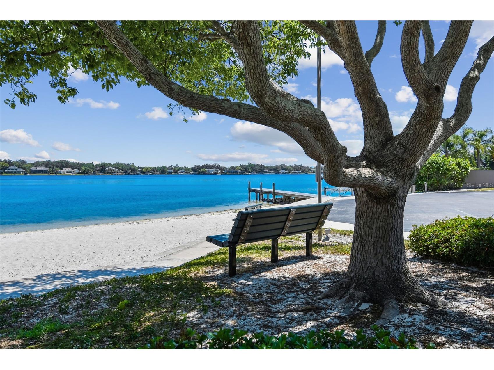 10916 Carrollwood Drive Tampa FL 33618 TB8506194 image34