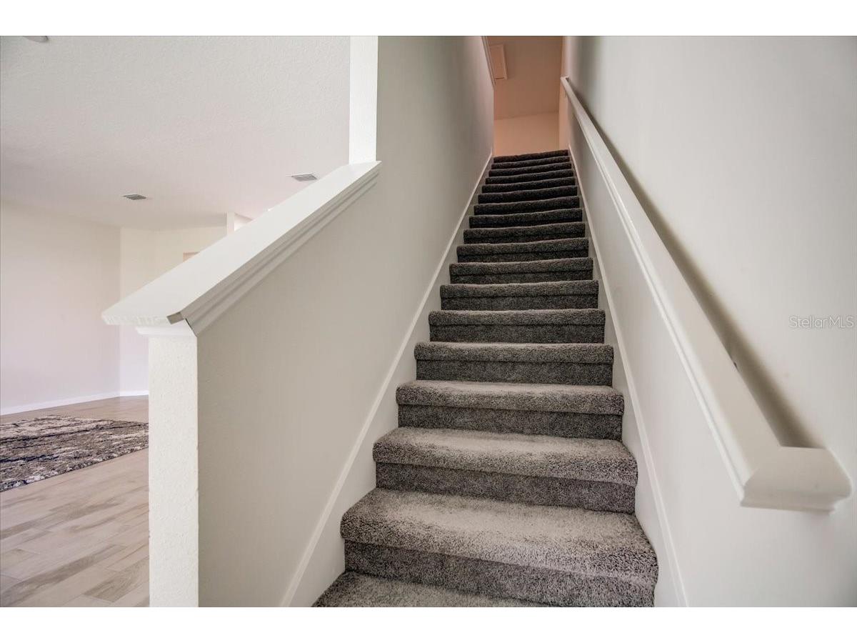 10916 Quickwater Court Riverview FL 33569 TB8517426 image17