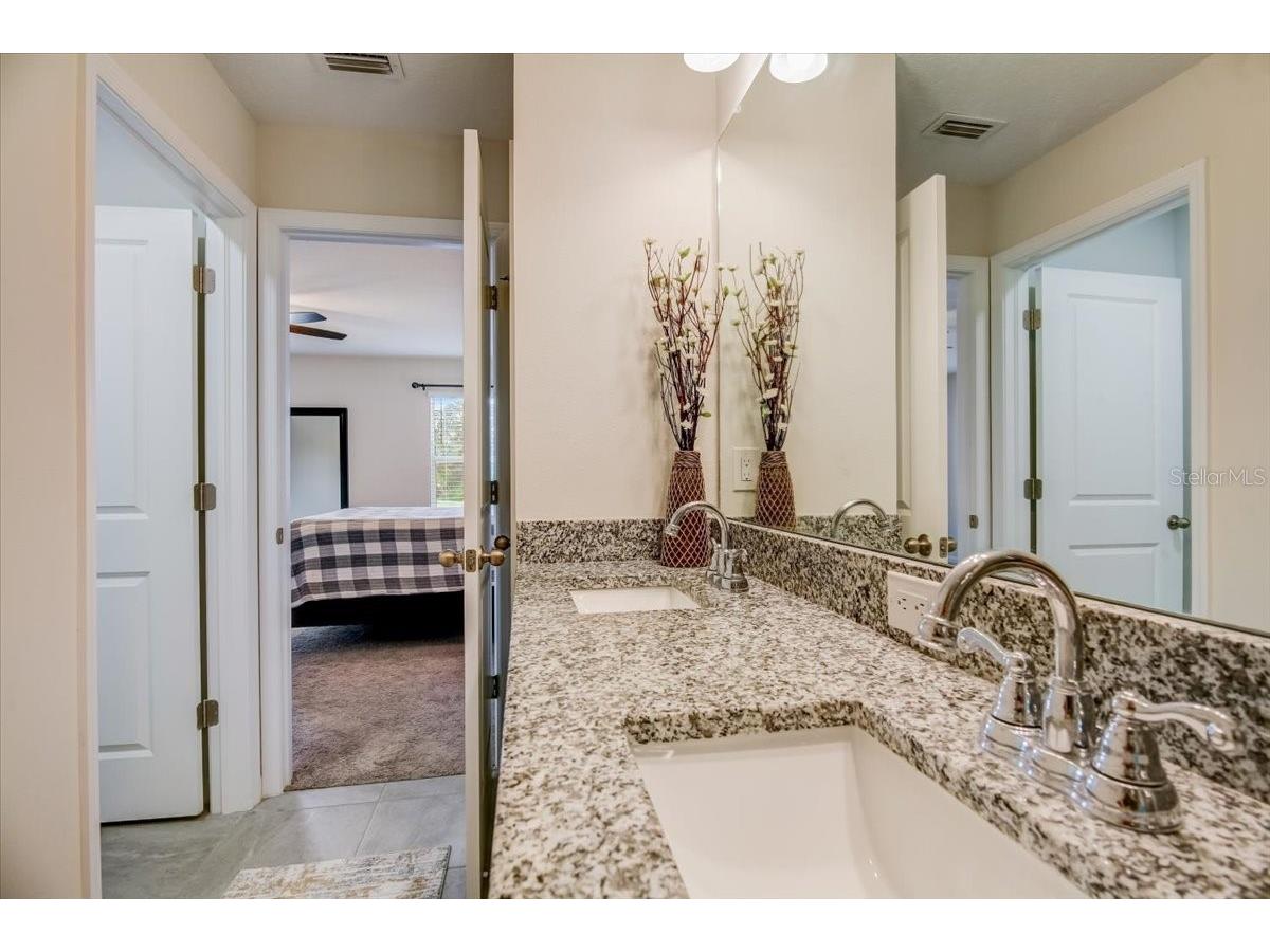 10916 Quickwater Court Riverview FL 33569 TB8517426 image25