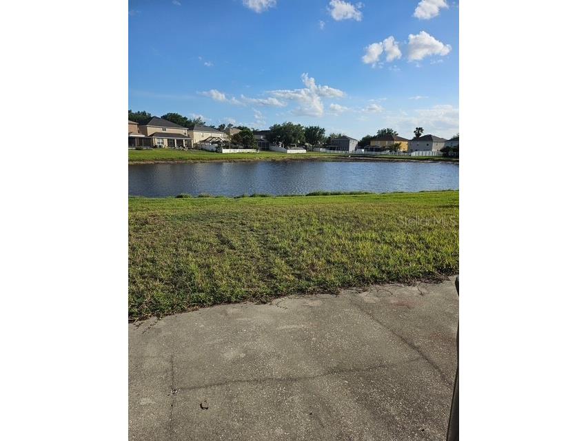 10917 Banyan Wood Way Riverview FL 33579 TB8507201 image11